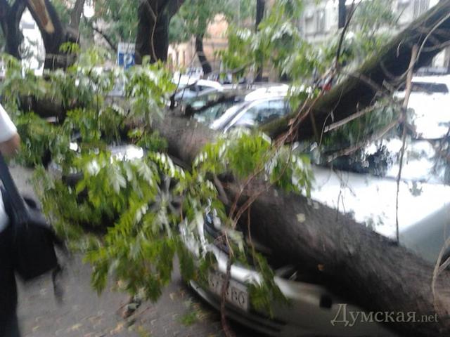 Bão lại ghé thăm Odessa.