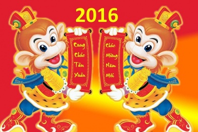 Cộng đồng tổ chức đón Tết Dương lịch 2016 theo khu vực