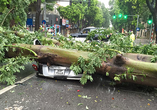 Phong toả tài khoản chủ đầu tư 8B Lê Trực