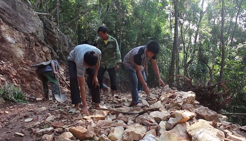 11 hộ nghèo bán trâu bò lấy hơn 300 triệu làm đường