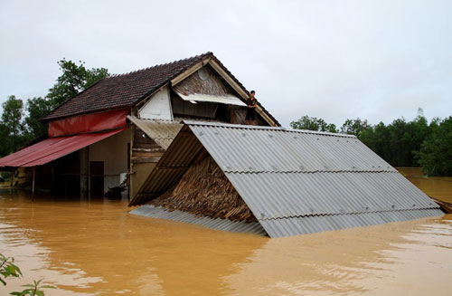 8 người chết do mưa lũ ở miền Trung