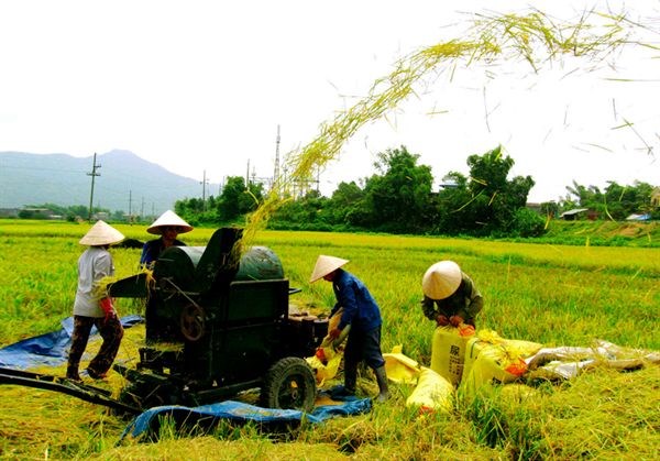 19 tiêu chí quốc gia về xã nông thôn mới giai đoạn 2016-2020