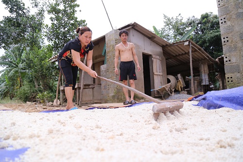 Miền Trung đề nghị được hỗ trợ gạo, hóa chất xử lý môi trường