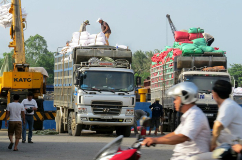 Những chính sách, chỉ đạo nổi bật của Chính phủ trong tuần