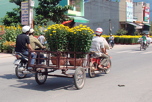 Chủ tịch Quảng Ngãi viết thư kêu gọi mua hoa giúp dân