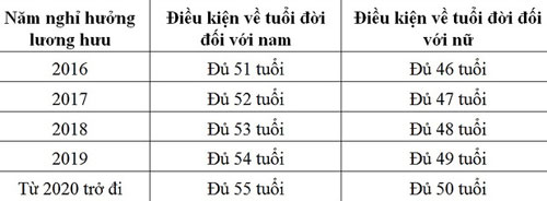 Nhiều người về hưu sớm để tránh đóng thêm 5 năm BHXH