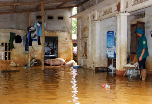 Thái Nguyên: Mưa lớn, bùn đất ngập cao cả mét trong nhà dân