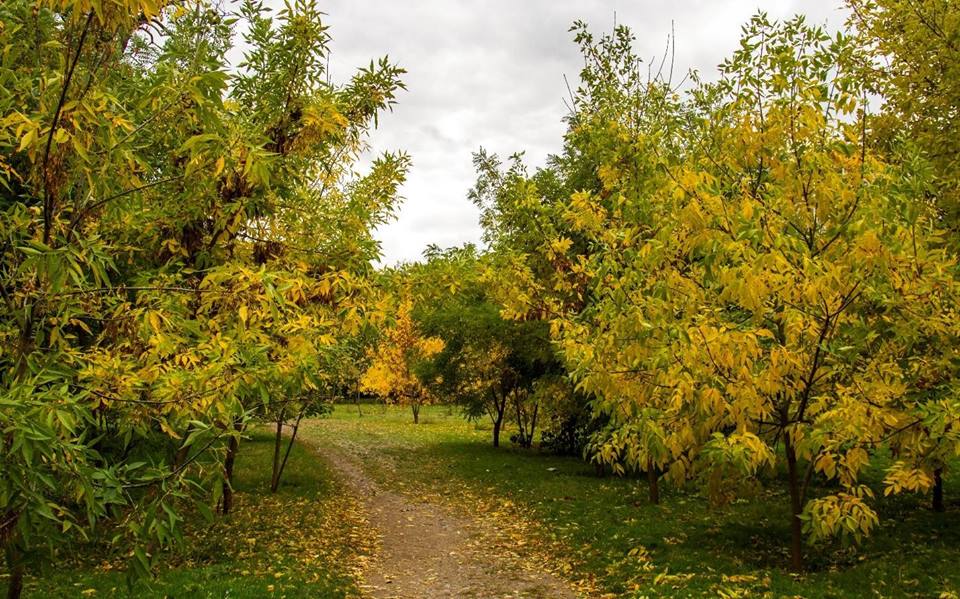 Odessa - mùa Thu trong công viên