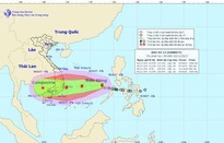 Bão số 12 di chuyển theo hướng Tây trong 24 giờ tới