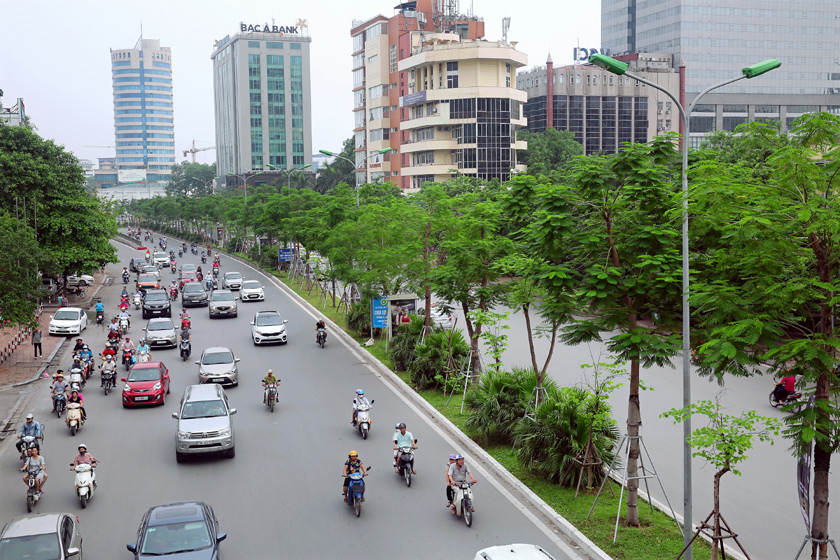 Từ hôm nay (15-1), xâm hại cây xanh có thể bị phạt tới 30 triệu đồng