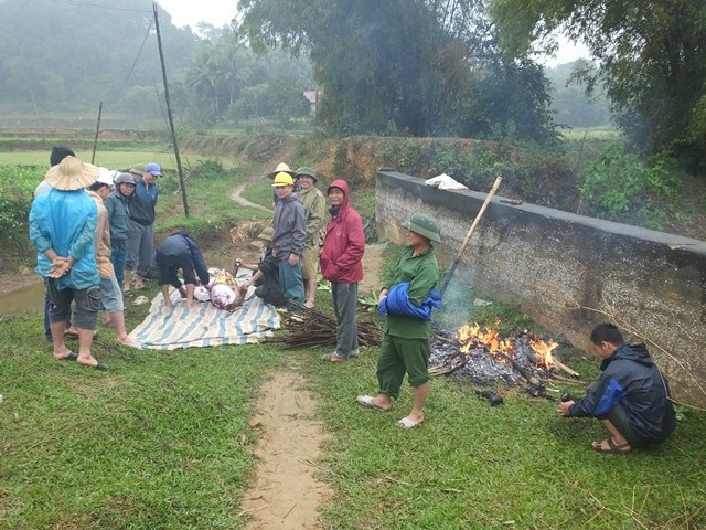 Nhà thủ môn Tiến Dũng mổ trâu, dân làng lái máy cày diễu hành