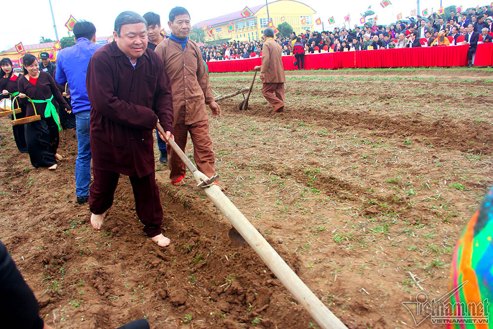 'Vua' đi cày đầu năm tại lễ hội Tịch Điền