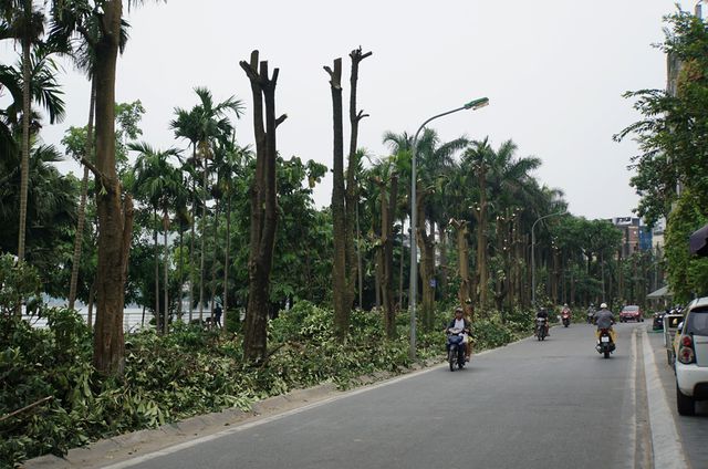 "Không thể lấy mùi hoa sữa để khử mùi cho bãi rác Nam Sơn"