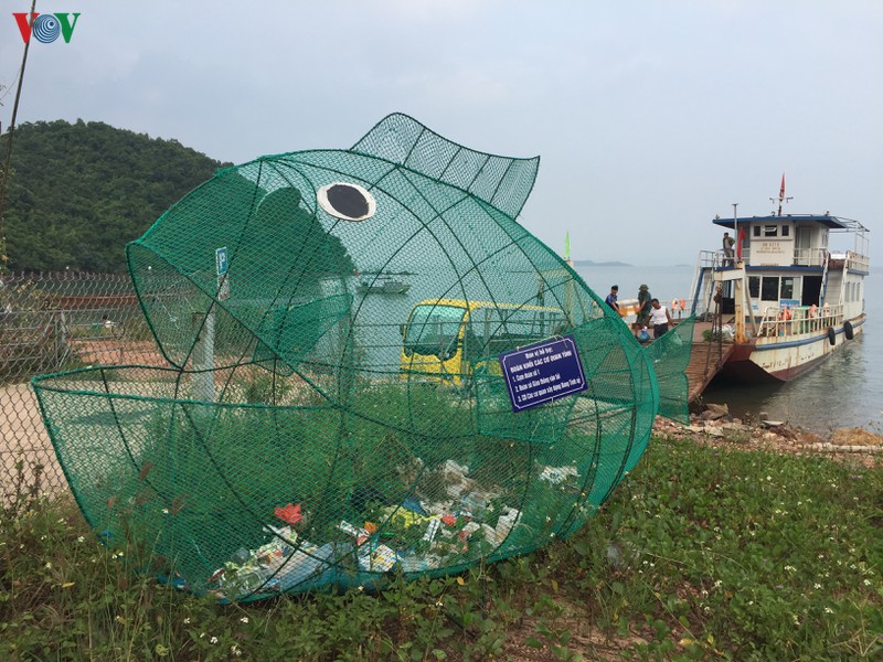 Độc đáo mô hình “cá ăn rác thải nhựa” ở Quảng Ninh