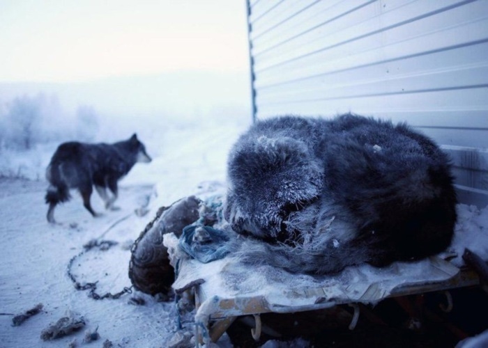 Cuộc sống của người dân tại Oymyakon, Nga – thị trấn lạnh lẽo, khắc nghiệt nhất thế giới