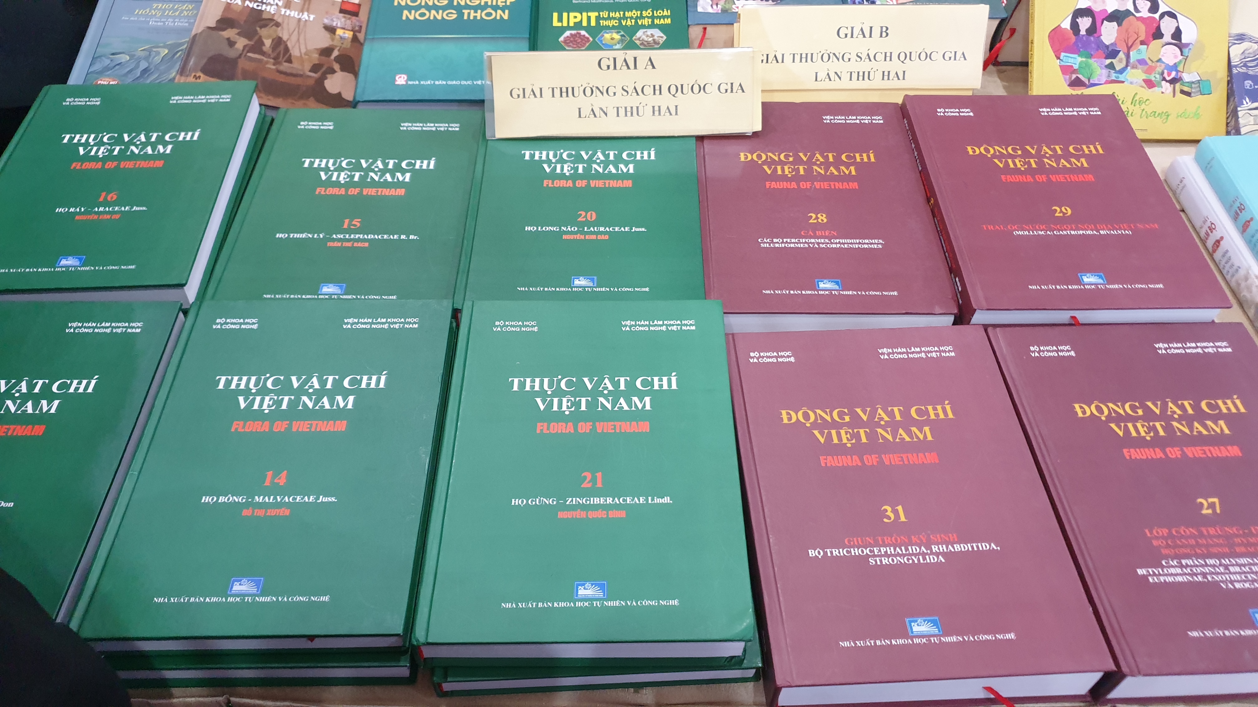 Giải thưởng Sách quốc gia: Giá trị của những cuốn sách đã được nâng tầm