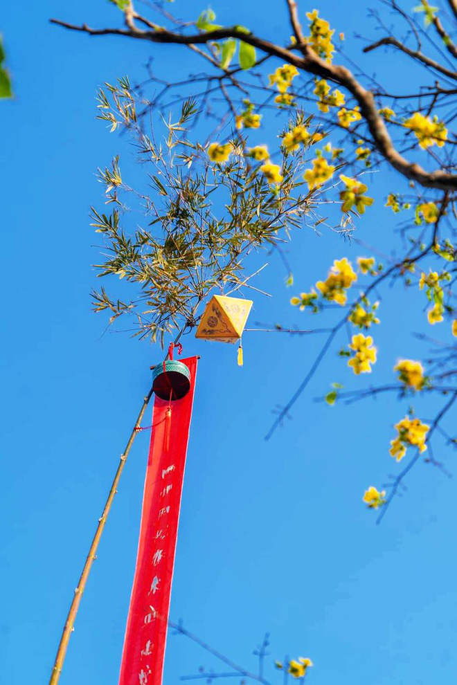 ‘Hương xưa bánh Tết’ trong Hoàng cung Huế