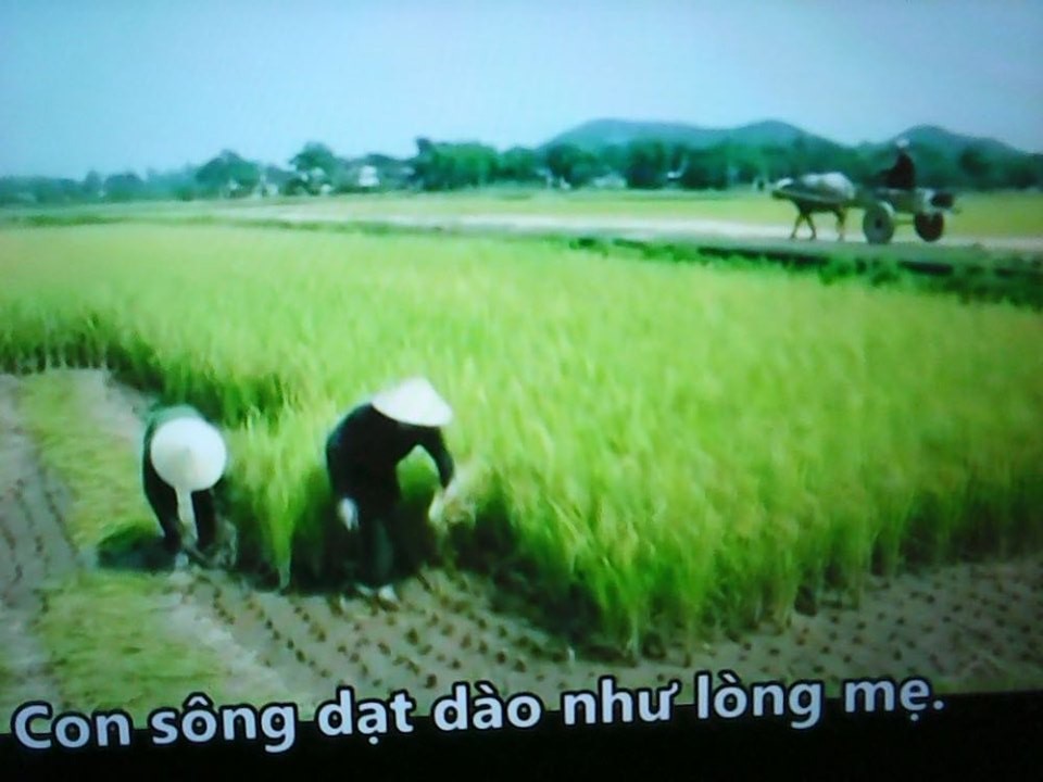 Về quê hay ở lại!