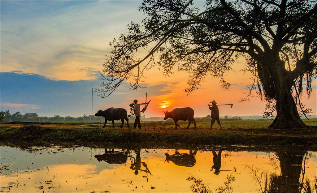 Nỗi buồn ăn Tết xa quê